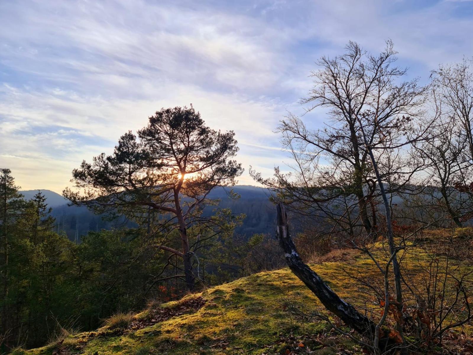 Ferienhaus Schoene Aussicht Ferienwohnung Gelb Hemfurth-Edersee Zewnętrze zdjęcie